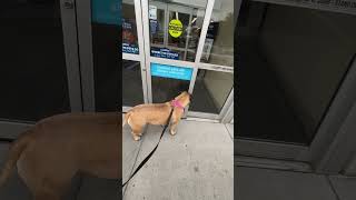 Waiting for Petco to open!