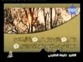 خليفة الطنيجي سورة العصر