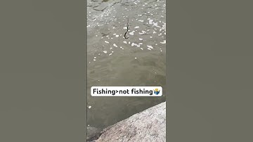 I think this is true? #fishing #snake #viral #fypシ