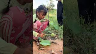 The Girl Found A Large Crab
