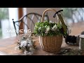 【GARDENS】 秋のクラフト| アナベルの花籠リース ｜講演会のお知らせ【ガーデンズ 】Annabelle's Flower Basket Wreath