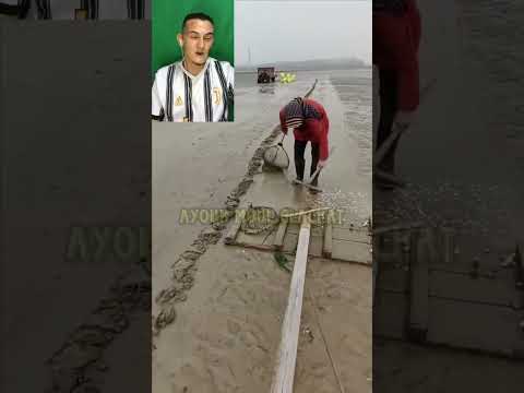 البحث عن أصداف البحر