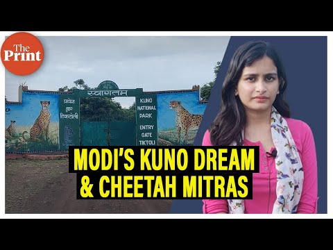 Meet the Cheetah Mitras who have been on the frontline & are the ambassadors of Modi’s Kuno dream