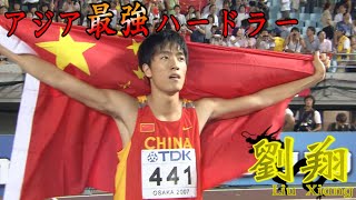 【劉翔】110mハードル決勝　アジア人初優勝！【2007年世界陸上 大阪】