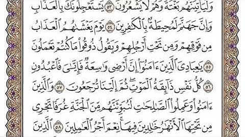 سورة العنكبوت من آية ٥٦-٦٩ محمد ايوب