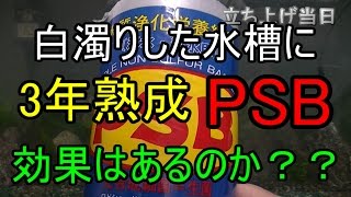 【アクアリウム】山岳レイアウトに白濁り発生！PSBが効果があるのか試してみると・・・。