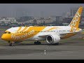 Scoot Airlines / Sydney To Phuket, Thailand via Singapore / Boeing 787 - 9 Dreamliner / TR 013