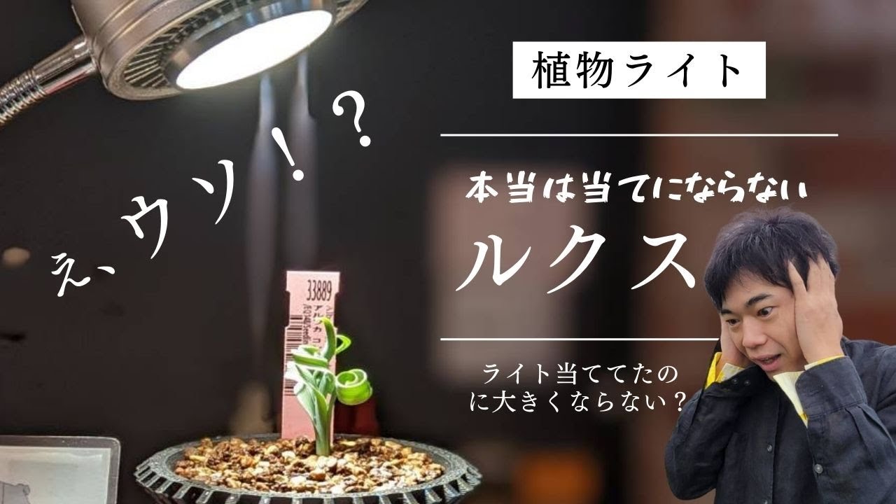 植物ライトの選び方