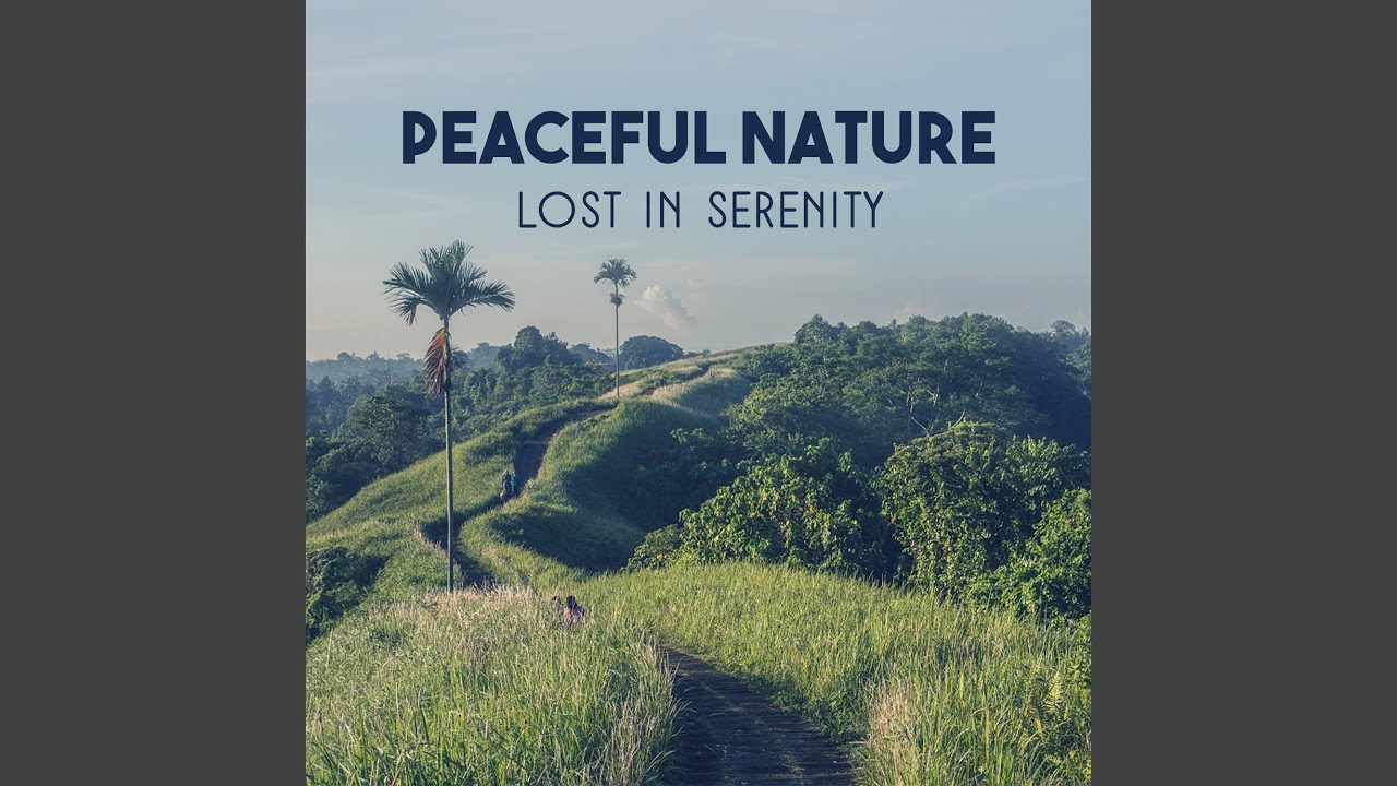 Assista a Fresh Air Is Sanctuary of Beautiful Thoughts no YouTube