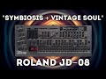 Roland jd08 symbiosis  vintage soul 128 presets bundle