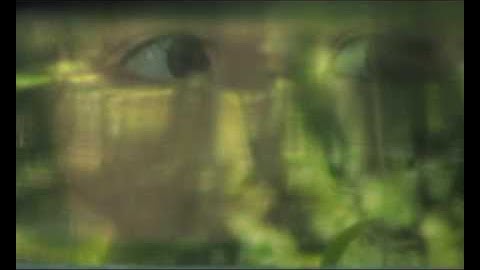 Deep Forest Amazonia new CD on deep-projects.com