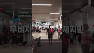 ESTA 있어도 미국 입국 거절될 수 있다고? (실제 사례 주의사항)