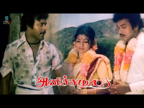 கொழுந்தனும் அண்ணியும் தப்பு பண்ணிட்டாங்களோ?🤔| Anicha Malar | Raja Bahadoor | Suruli Rajan | Manorama