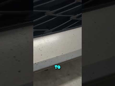 Automotive Repair Kyle Tx