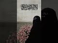 لا تحسب ان الدين بعيد عن حب وحياة بدون موسيقى اكسبلور تصميمي لا تحسب ان الدين بعيد عن حب وحياة بدون موسيقى اكسبلور تصميمي