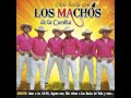 Es Amor - Los Machos De La Cumbia 2013 - Lo Nuevo