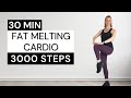 30 min  3000 steps  fat melting cardio workout at home