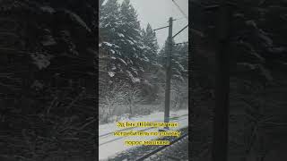 эд4мк-0111 летит как истребитель по участку порос-мошково #железнаядорога #train