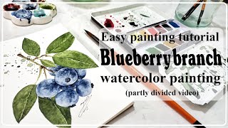 Watercolor painting : Realistic Blueberry watercolor painting | step by step guide to paint
