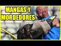 Analizando mangas y mordedores para cachorros y perros adultos