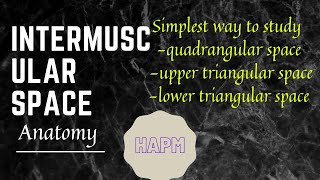 Intermuscular space/quadrangular space /upper triangular space /lower triangular space. Wealth