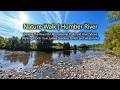 Nature Walk along the Don Valley North from James Gardens | West Toronto