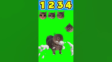 OIIA SPINNING CAT BATTLE #2 #oiiaoiia