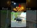 Bahubali reel vs real #bahubali2 #reelvsreal #prabhas #funny #comedy #viral #trending #subscribe