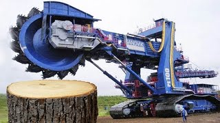 : Dangerous Biggest Chainsaw Tree Felling, Logging Wood Truck, Heavy Equipment Excavator Stump Removal