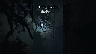 Hiding place in the Forest relaxmusic classicalmusic sleepmusic calmmusic shorts music