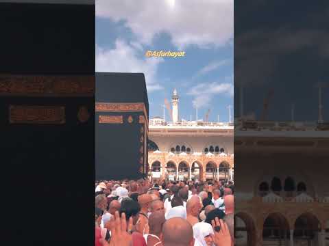 الجذع حن فكيف بالإنسان سر العشق النبوي ومضاعفة الأجر 10 مرات