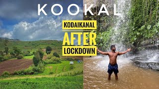 BEST OF KODAIKANAL | KOOKAL | PLACES TO VISIT IN KODAIKANAL | தமிழ் TRAVEL VLOG