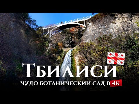 Ботанический сад в Тбилиси - любовь к прекрасному // Botanical Garden in Tbilisi