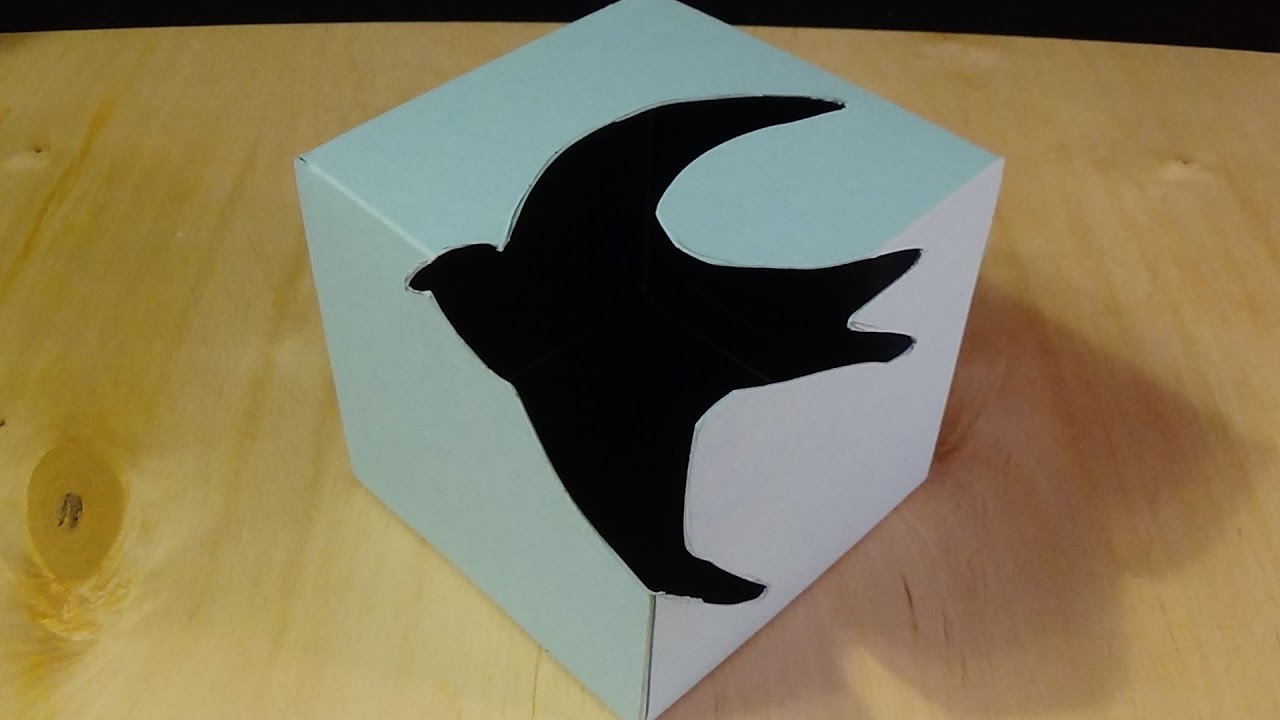 ⁣3D Art Design - Awesome Swallow Bird Cube