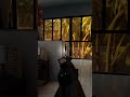 You get one warning #gaming #gameplay #games #readyornot #shorts #shortvideo