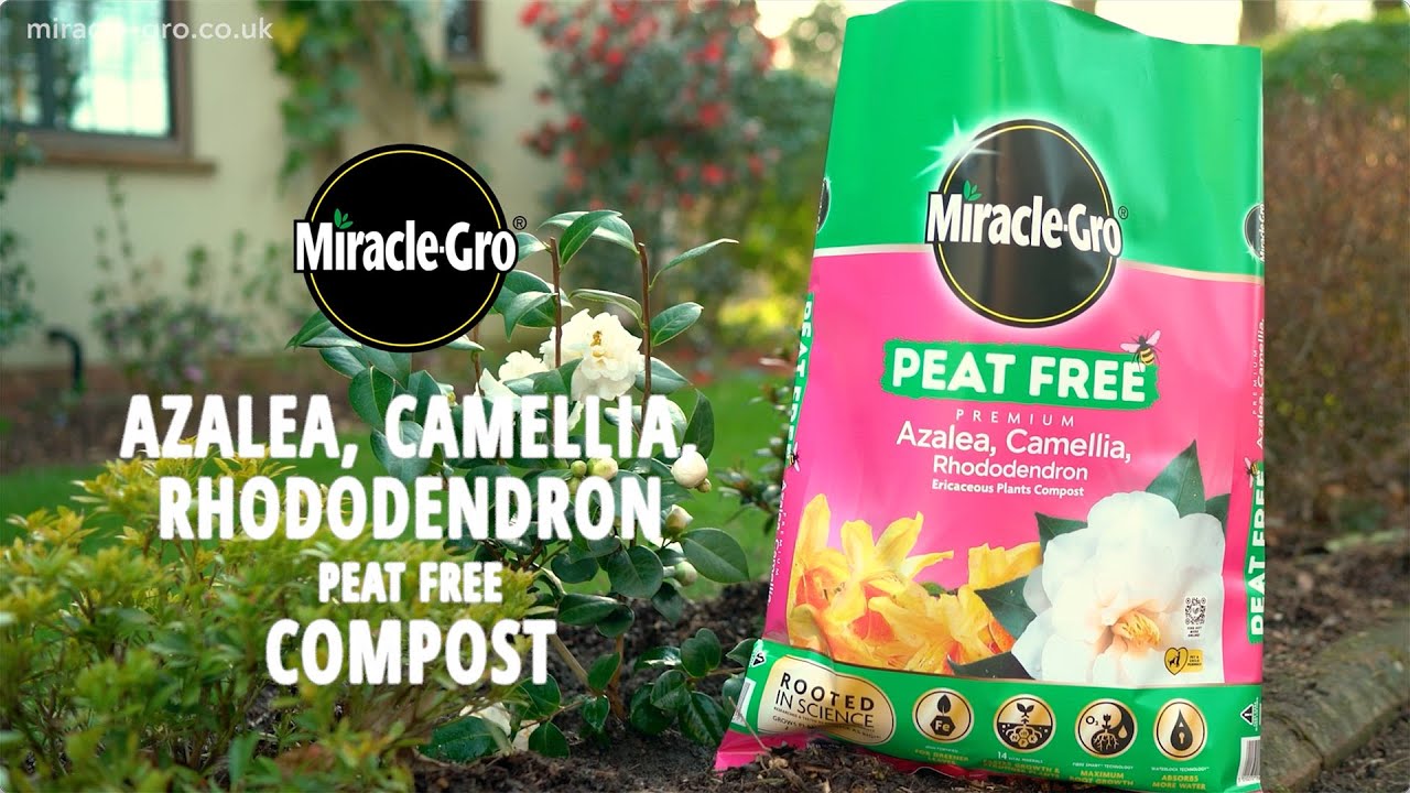 Miracle-Gro Peat Free Premium Azalea, Camellia & Rhododendron Compost |