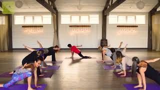 Yoga Asana Series | Lizard Sequence