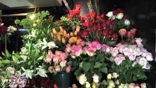 Langdon Florist | Manhattan NY | Flower Shops