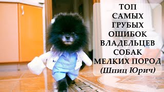 видео: ТОП САМЫХ ГРУБЫХ ОШИБОК ВЛАДЕЛЬЦЕВ СОБАК МЕЛКИХ ПОРОД | Шпиц Юрич картинка: ТОП САМЫХ ГРУБЫХ ОШИБОК ВЛАДЕЛЬЦЕВ СОБАК МЕЛКИХ ПОРОД | Шпиц Юрич