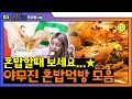 [#모아봤zip] 토마토 솥밥부터 김치볶음밥까지! 혼밥하며 볼만 한 먹방영상 가져왔습니다,, 꽃게 제철 대체 언제야^_ㅠ | #온앤오프 #Diggle