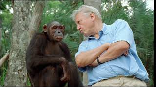 BBC Earth: The Life of Mammals:  Food for Thought: David Attenborough