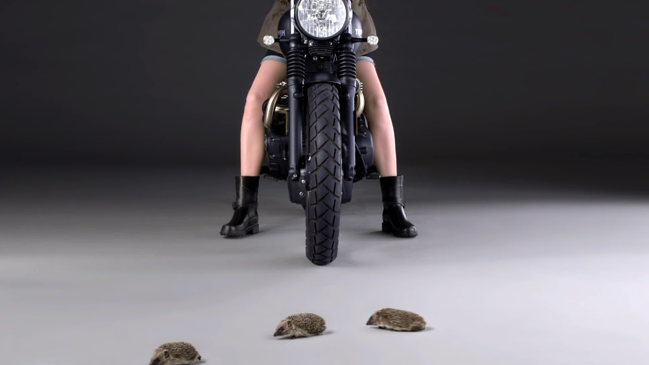 AIGLE BOOT | THE WILD BOOTS