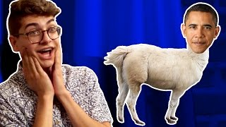 WE PLAY OBAMA LLAMA! (Squad Vlogs) Wealth