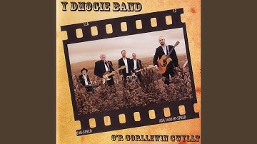 Thumbnail of Yr Hebog Tramor