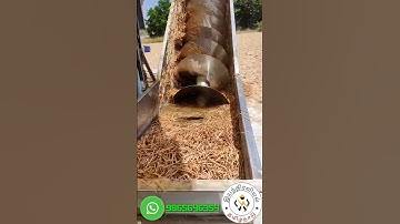 SS SCREW CONVEYOR @davidarulraj.p_official