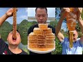 ASMR Eating Best Asmr Honeycomb