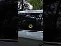 Make Your Car SMILE! 🚗💡 The Coolest LED Window Sticker!