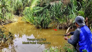 Gak main2..!! Baru di Coba2 Pemancing ikan nya Tiba-tiba Ngamuk !! Mancing ikan di sungai