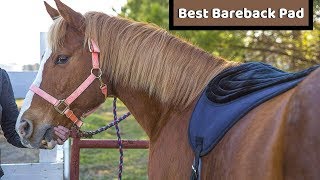 Best Bareback Pad - Top Five Bareback Pad of 2021 Wealth