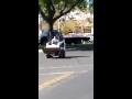 Bobcat driving on the streets of Chico